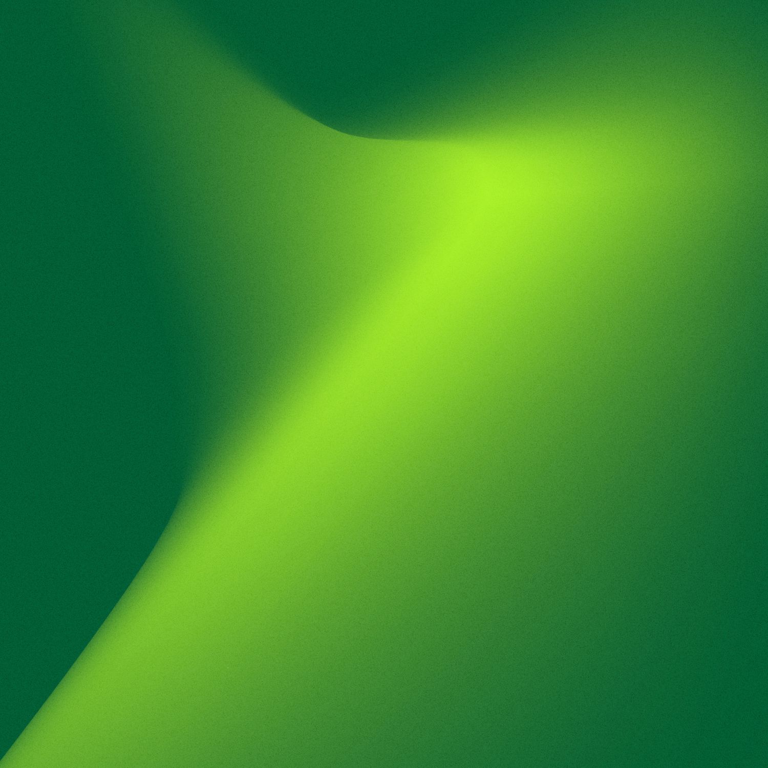 WhatsApp / Direct-Message Campaigns